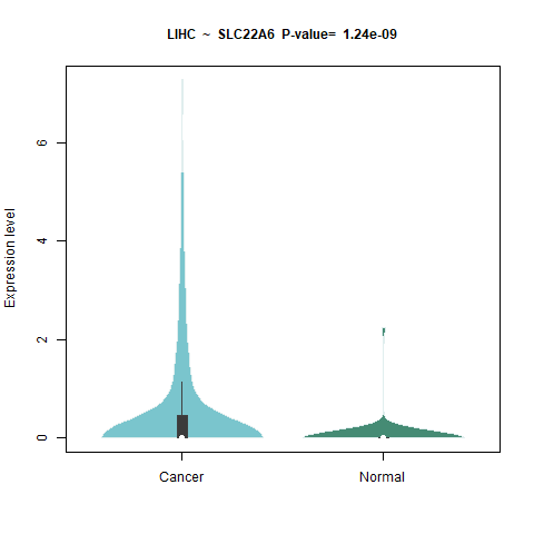 SLC22A6 _LIHC.png